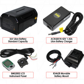 Mondia eBike Kit High Capacity - Retrofit Kit comes with 36V 11.6Ah LiIon Battery Pack, Charger, Battery Mount and LCD Instrument Panel	